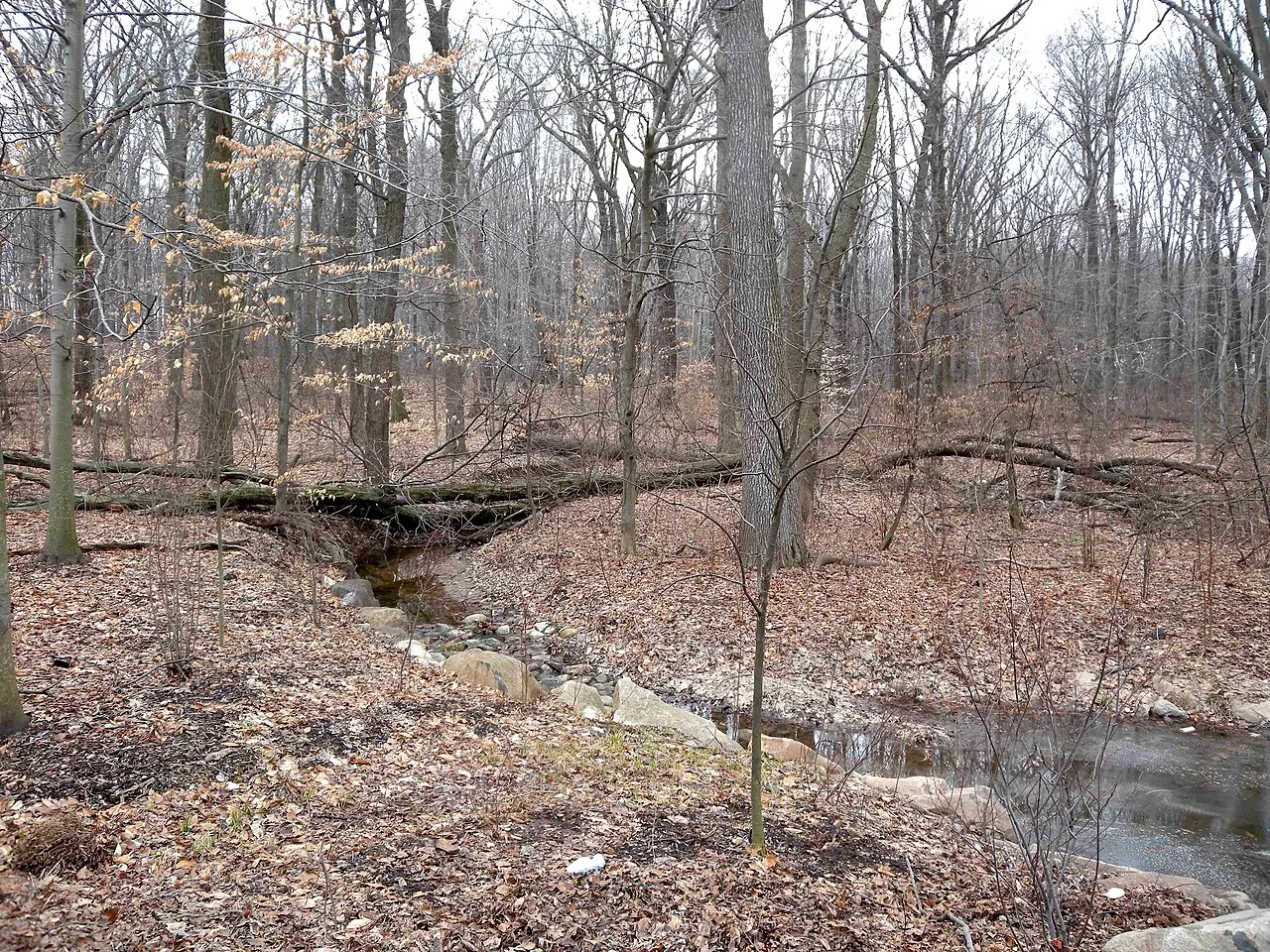 Bloomingdale Park