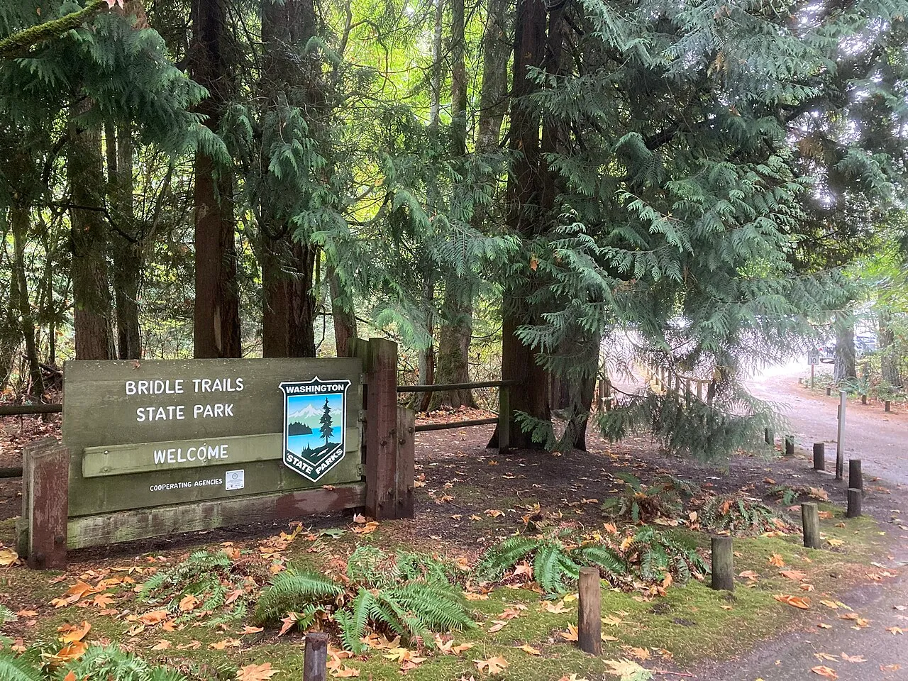 Bridle Trails State Park