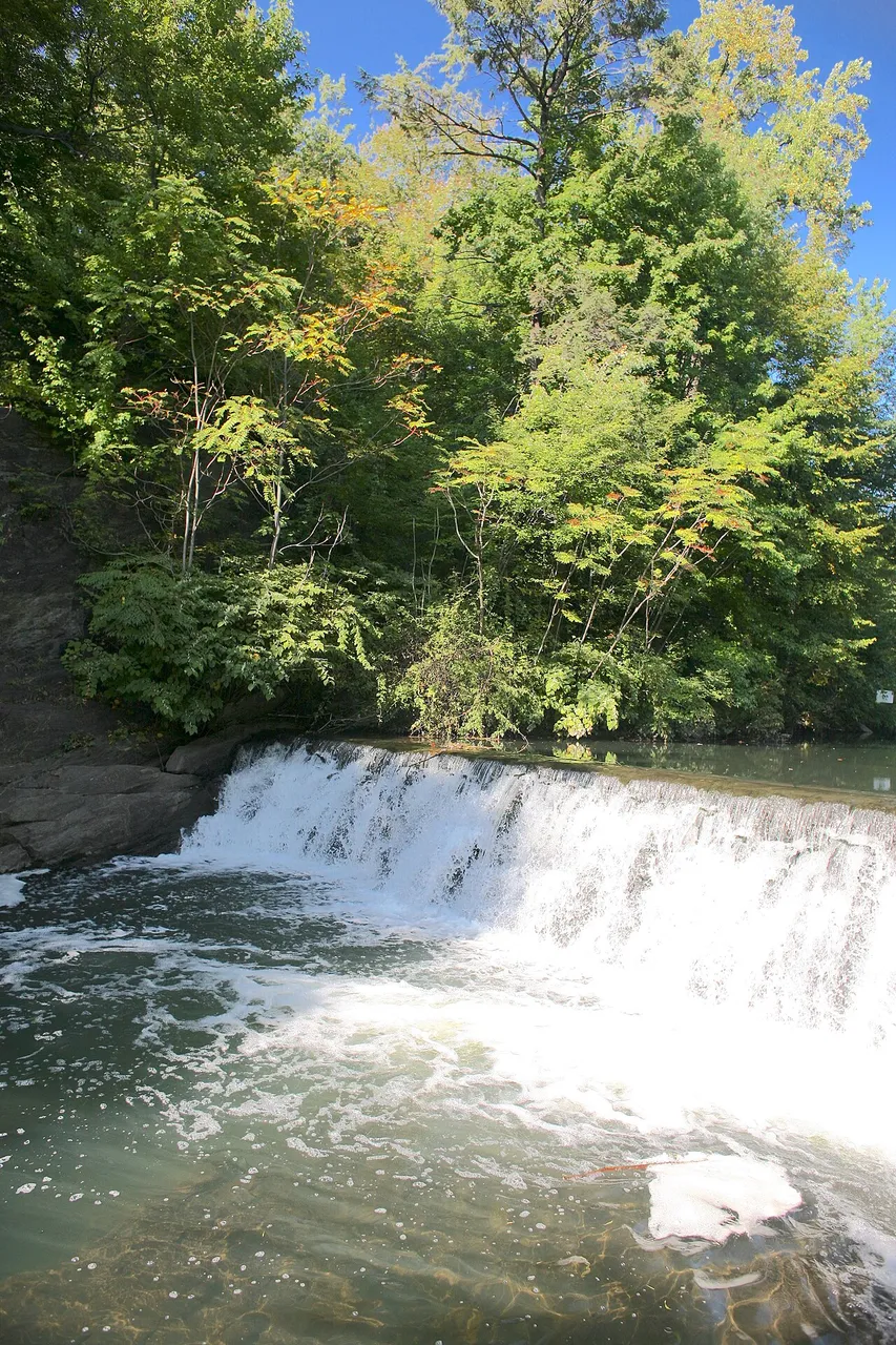 Bronx Park