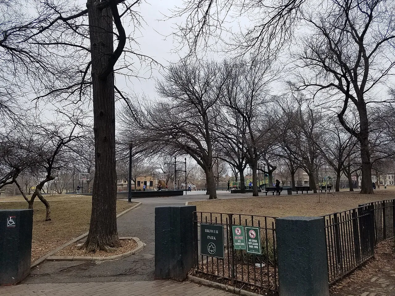 Brower Park