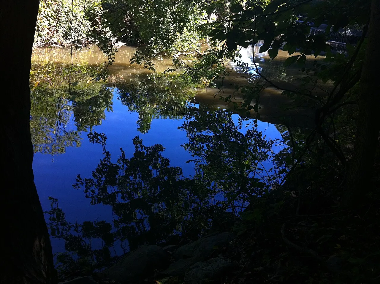 Clove Lakes Park