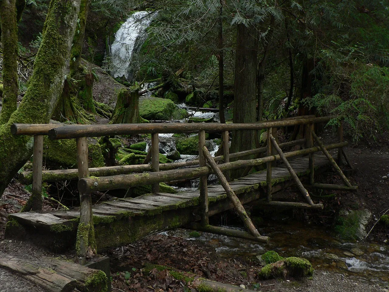 Cougar Mountain Regional Wildland Park
