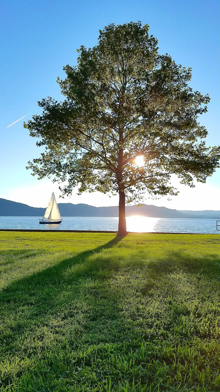 Croton Point Park (Croton-on-Hudson)