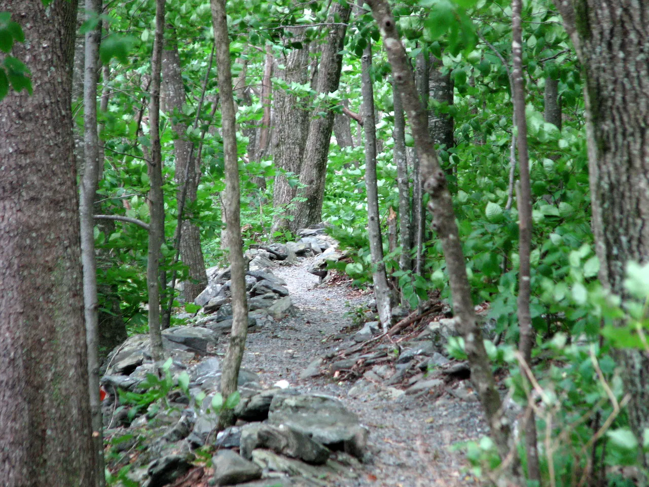 Elk Knob State Park