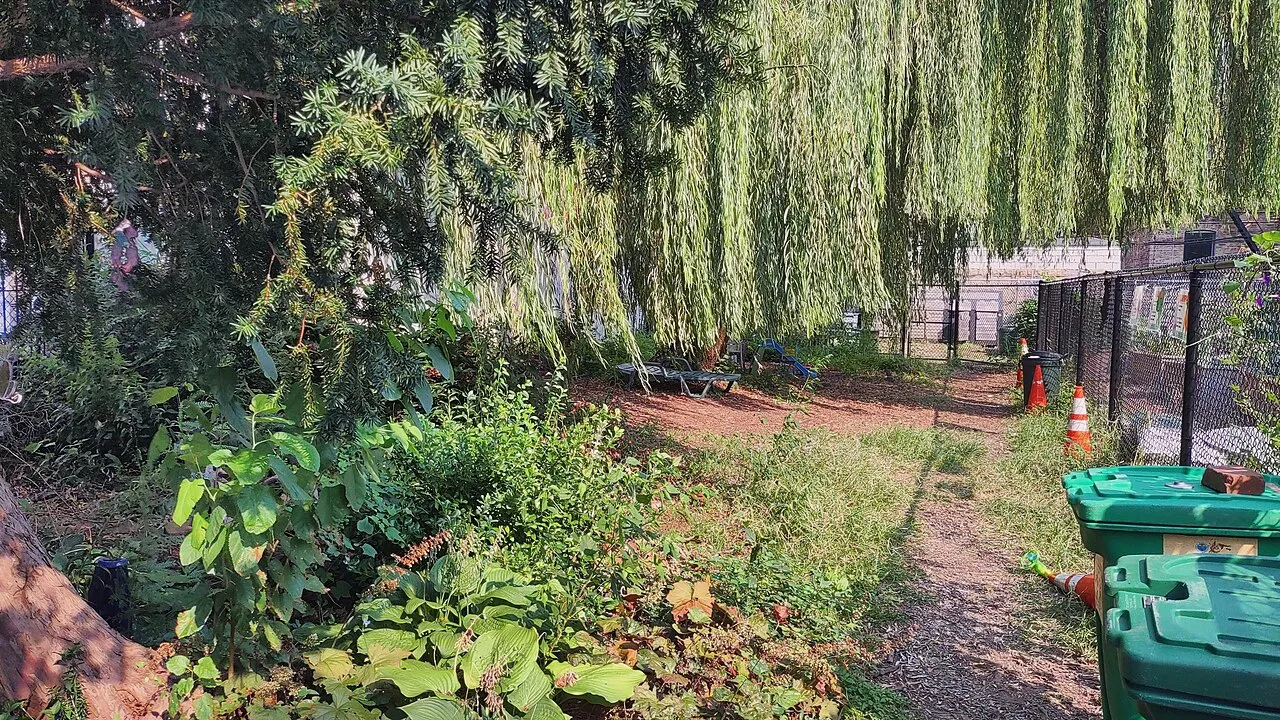 Maple Street Community Garden