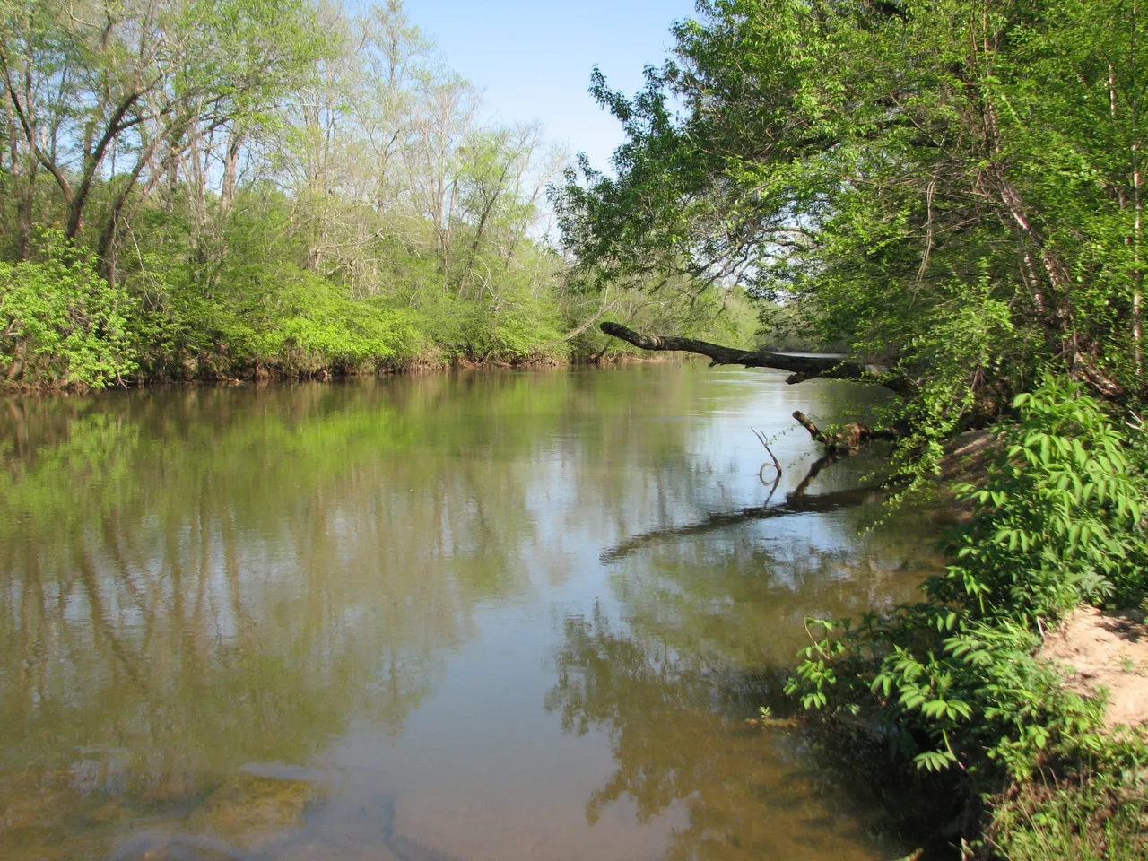 Mayo River State Park