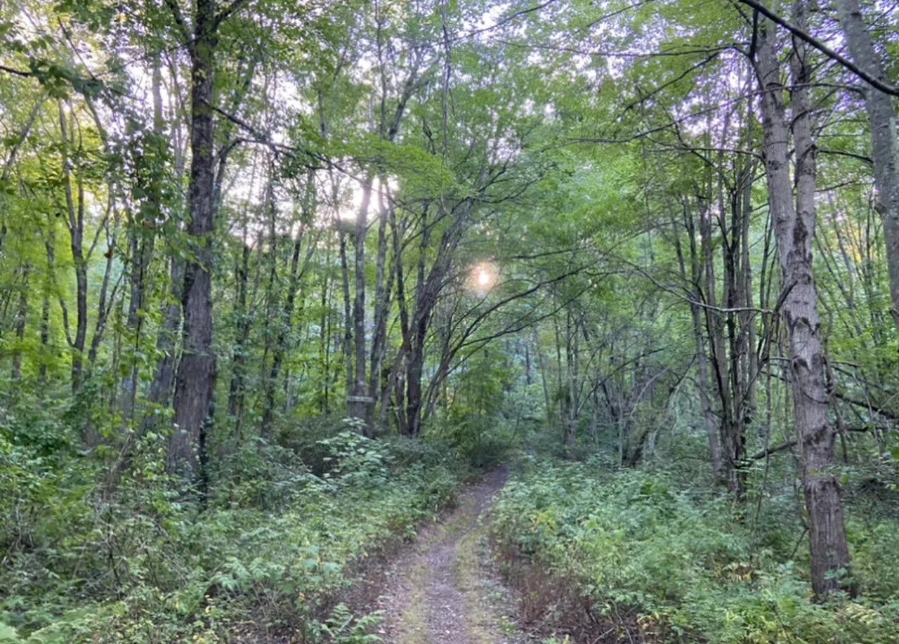 Mittineague Park