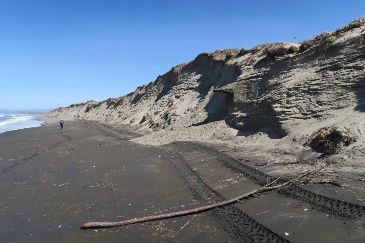 Moss Landing State Beach
