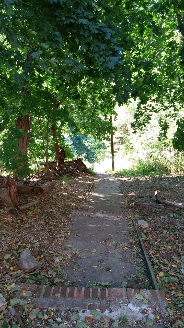 Raoul Wallenberg Forest