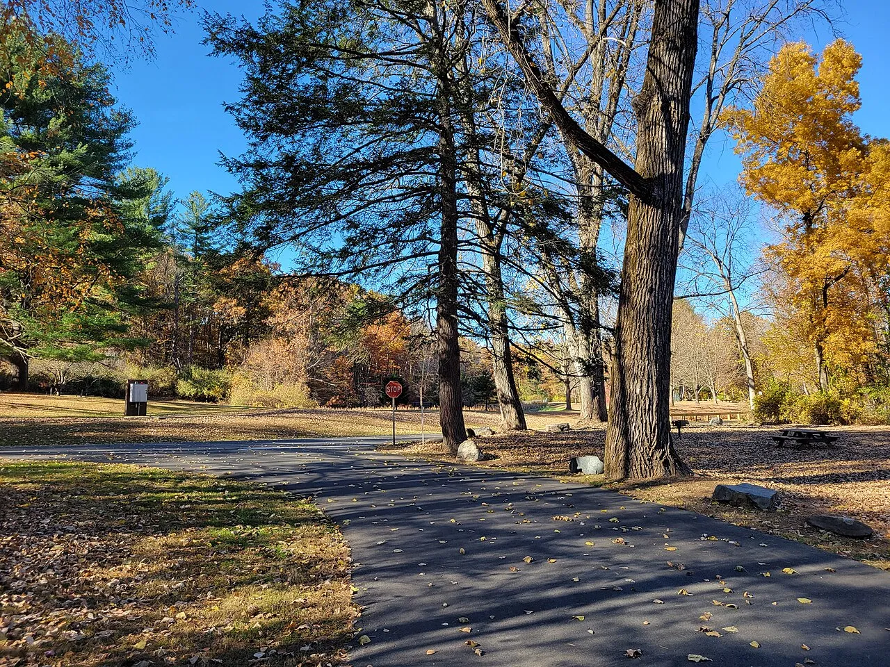 Robinson State Park