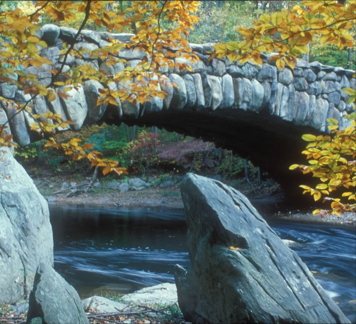 Rock Creek Park