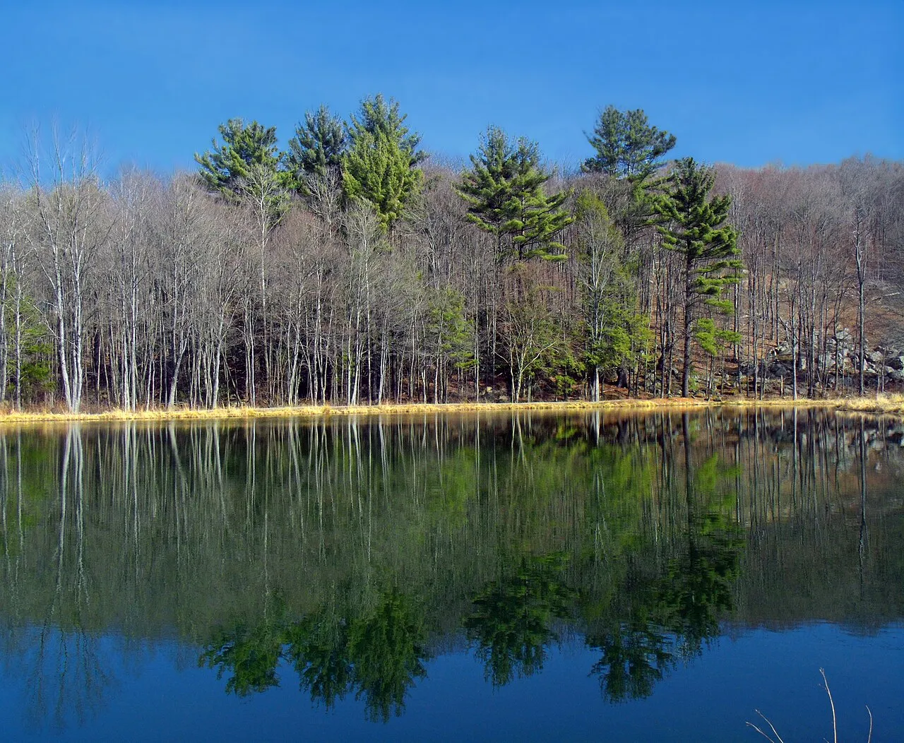 Varden Conservation Area