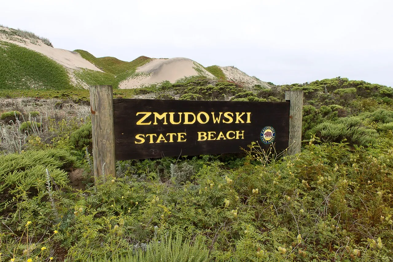 Zmudowski State Beach